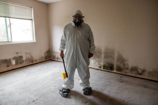 Professional Mold Remediation in Centralia, WA