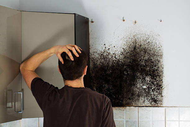 Best Bathroom Mold Remediation in Centralia, WA